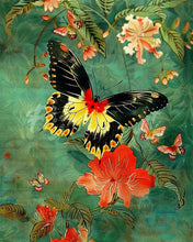 Charger l'image dans la galerie, Diamond Painting - Broderie Diamant - Papillon Troide Minos 40x50cm toile tendue sur châssis