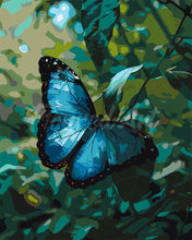 Charger l'image dans la galerie, Peinture par numéros Figured'Art Papillon Morpho Bleu