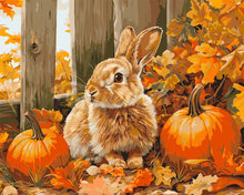 Charger l'image dans la galerie, Peinture par numéros Figured'Art Lapin et citrouilles