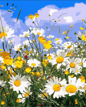 Charger l'image dans la galerie, peinture par numéros | Champs de Marguerites et Ciel bleu | fleurs paysages nouveautés complexe | FiguredArt