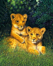 Charger l'image dans la galerie, Peinture par numéros Lionceaux | Figured'Art complexe nouveautés animaux lions