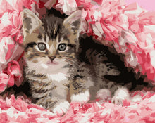 Charger l'image dans la galerie, Chaton enrobé