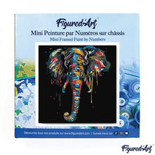 Charger l'image dans la galerie, Mini Peinture par Numéros 20x20cm avec cadre Elephant
