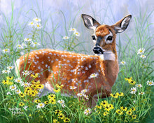 Charger l'image dans la galerie, Peinture par numéros Biche dans la Prairie | Figured'Art intermédiaire animaux rennes et biches nouveautés