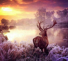 Charger l'image dans la galerie, Broderie Diamant | Broderie Diamant - Cerf au bord de lEau | animaux Broderie Animaux Broderie Paysages paysages | FiguredArt