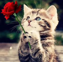 Charger l'image dans la galerie, Broderie Diamant | Broderie Diamant - Chat à la Rose | animaux Broderie Animaux Broderie Fleurs chats fleurs | FiguredArt