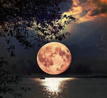 Charger l'image dans la galerie, Broderie Diamant | Broderie Diamant - Pleine Lune | Broderie Paysages paysages | FiguredArt