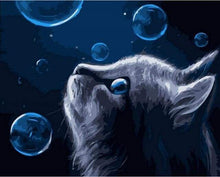 Charger l'image dans la galerie, peinture par numéros | Chat et Bulles bleues | animaux chats facile | FiguredArt