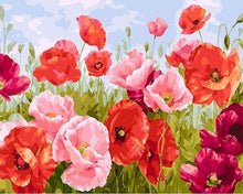 Charger l'image dans la galerie, peinture par numéros | Coquelicos | nouveautés fleurs intermédiaire | FiguredArt