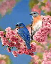 Charger l'image dans la galerie, Peinture par numéros Couple d'oiseaux bleus | Figured'Art facile animaux oiseaux nouveautés
