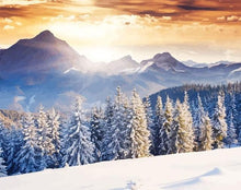 Charger l'image dans la galerie, peinture par numéros | forêt blanche | Complexe, hiver, paysages | FiguredArt