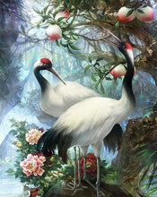 Charger l'image dans la galerie, peinture par numéros | Grues à Tête rouge | animaux complexe grues cendrées oiseaux | FiguredArt