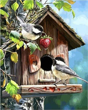 Charger l'image dans la galerie, peinture par numéros | La Maison des Oiseaux | animaux intermédiaire oiseaux | FiguredArt