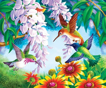 Charger l'image dans la galerie, peinture par numéros | Les oiseaux et les Fleurs | animaux, fleurs, Intermédiaire, oiseaux | FiguredArt