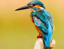 Charger l'image dans la galerie, peinture par numéros | Oiseau a long bec | animaux, Intermédiaire, oiseaux | FiguredArt