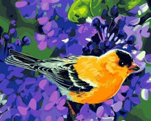Charger l'image dans la galerie, peinture par numéros | Oiseau orangé | animaux facile oiseaux | FiguredArt
