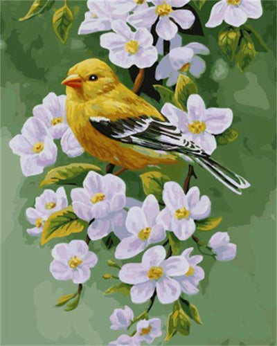 peinture par numéros | Oiseau sur une branche fleurie | nouveautés animaux oiseaux fleurs facile | FiguredArt