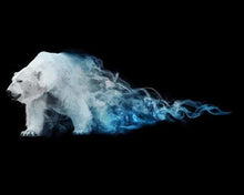 Charger l'image dans la galerie, peinture par numéros | Ours polaire abstrait | animaux facile ours | FiguredArt