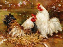 Charger l'image dans la galerie, peinture par numéros | Poule et Coq | animaux complexe oiseaux | FiguredArt