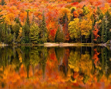 Charger l'image dans la galerie, peinture par numéros | Reflet sur le Lac en Automne | Complexe, paysages | FiguredArt