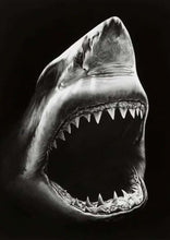 Charger l'image dans la galerie, peinture par numéros | Requin en noir et blanc | animaux complexe poissons | FiguredArt