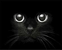 Charger l'image dans la galerie, peinture par numéros | Tête de Chat noir | animaux chats intermédiaire | FiguredArt