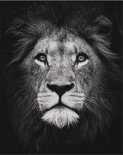 Charger l'image dans la galerie, peinture par numéros | Tête de lion en noir et blanc | animaux complexe lions | FiguredArt