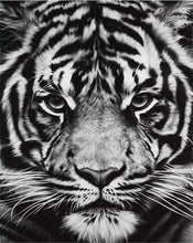 Charger l'image dans la galerie, peinture par numéros | Tête de Tigre en noir et blanc | animaux complexe tigres | FiguredArt