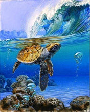 Charger l'image dans la galerie, peinture par numéros | Tortue marine | animaux complexe tortues | FiguredArt