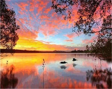 Charger l'image dans la galerie, peinture par numéros | Vol de Canards | canards intermédiaire oiseaux paysages | FiguredArt