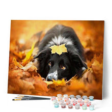 Charger l'image dans la galerie, peinture par numéros | Chien dans les feuilles | animaux, chiens, intermédiaire | FiguredArt