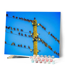 Charger l'image dans la galerie, peinture par numéros | Petis Oiseaux sur les fils électriques | animaux, intermédiaire, oiseaux | FiguredArt