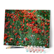 Charger l'image dans la galerie, peinture par numéros | Champ de Coquelicots 2 | complexe, fleurs | FiguredArt