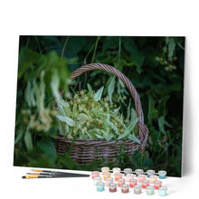 Charger l'image dans la galerie, peinture par numéros | Panier de Fleurs de Tilleul | fleurs, intermédiaire | FiguredArt
