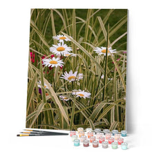 Charger l'image dans la galerie, peinture par numéros | Marguerites au Jardin | complexe, fleurs | FiguredArt
