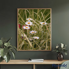 Charger l'image dans la galerie, peinture par numéros | Marguerites au Jardin | complexe, fleurs | FiguredArt