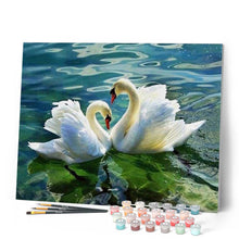 Charger l'image dans la galerie, peinture par numéros | Couple de Cygnes sur le Lac | animaux, cignes, intermédiaire, oiseaux | FiguredArt