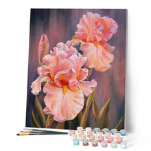 Charger l'image dans la galerie, peinture par numéros | Iris rosé | fleurs, france, intermédiaire | FiguredArt