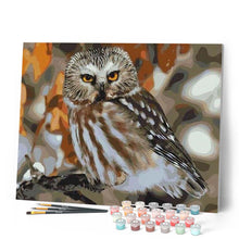 Charger l'image dans la galerie, peinture par numéros | Hibou gris et marron | animaux, chouettes et hiboux, intermédiaire | FiguredArt