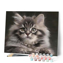 Charger l'image dans la galerie, peinture par numéros | Joli Chat Maine Coon | animaux, chats, complexe | FiguredArt