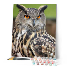 Charger l'image dans la galerie, peinture par numéros | Portrait de Hibou | animaux, chouettes et hiboux, complexe | FiguredArt