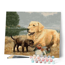Charger l'image dans la galerie, peinture par numéros | Chien Golden Retriever | animaux, chiens, intermédiaire | FiguredArt