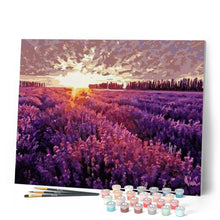 Charger l'image dans la galerie, peinture par numéros | Champ de Lavande | complexe, fleurs, paysages | FiguredArt