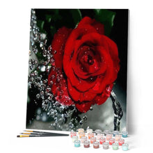Charger l'image dans la galerie, peinture par numéros | Parfum de Rose rouge | facile, fleurs | FiguredArt