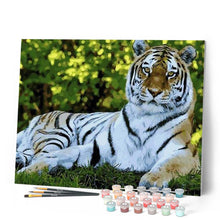 Charger l'image dans la galerie, peinture par numéros | Le repos du Tigre | animaux, intermédiaire, tigres | FiguredArt
