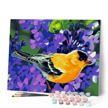 Charger l'image dans la galerie, peinture par numéros | Oiseau orangé | animaux, facile, oiseaux | FiguredArt
