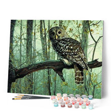 Charger l'image dans la galerie, peinture par numéros | Hibou | animaux, chouettes et hiboux, intermédiaire | FiguredArt