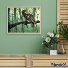 Charger l'image dans la galerie, peinture par numéros | Hibou | animaux, chouettes et hiboux, intermédiaire | FiguredArt