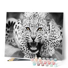 Charger l'image dans la galerie, peinture par numéros | Léopard noir et blanc couché sur le sol | animaux, intermédiaire, léopards | FiguredArt
