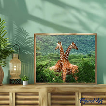 Charger l'image dans la galerie, peinture par numéros | Girafes enlacées | animaux, complexe, girafes | FiguredArt